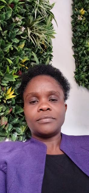 IBN PREMIER SERVICES, Cleaners