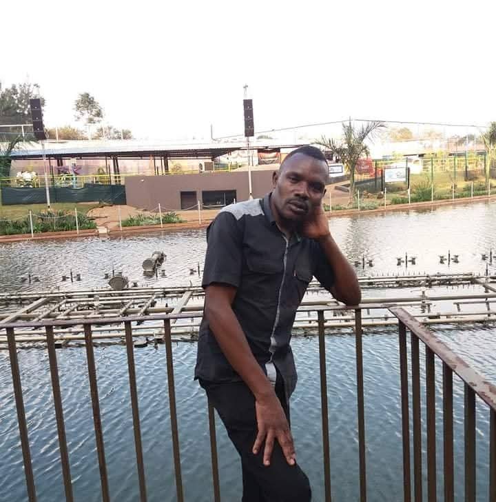 Douglas songole, Gardeners