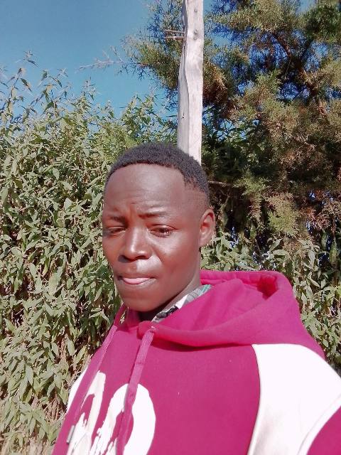 Daniel waithera, Chefs / Cooks