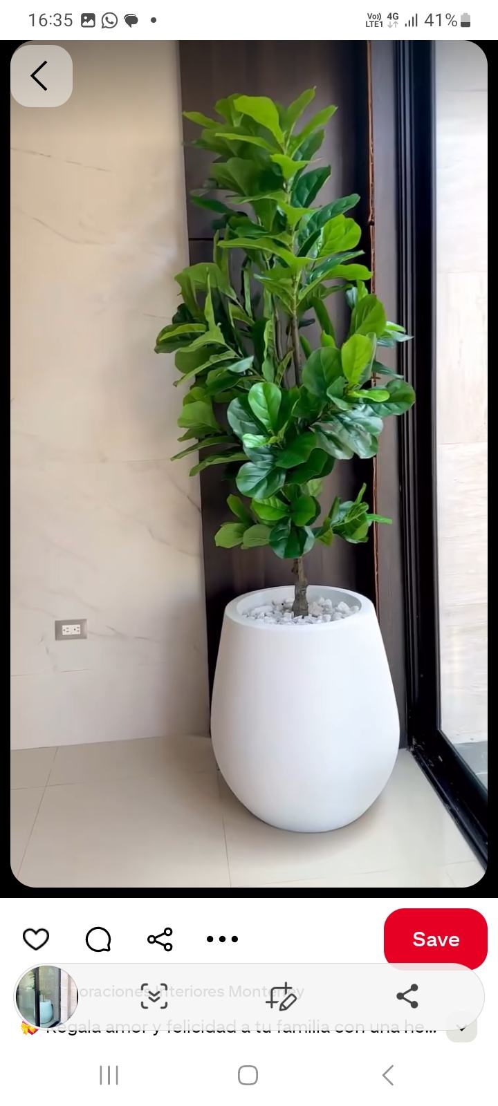 Benjamin Ojwang work example