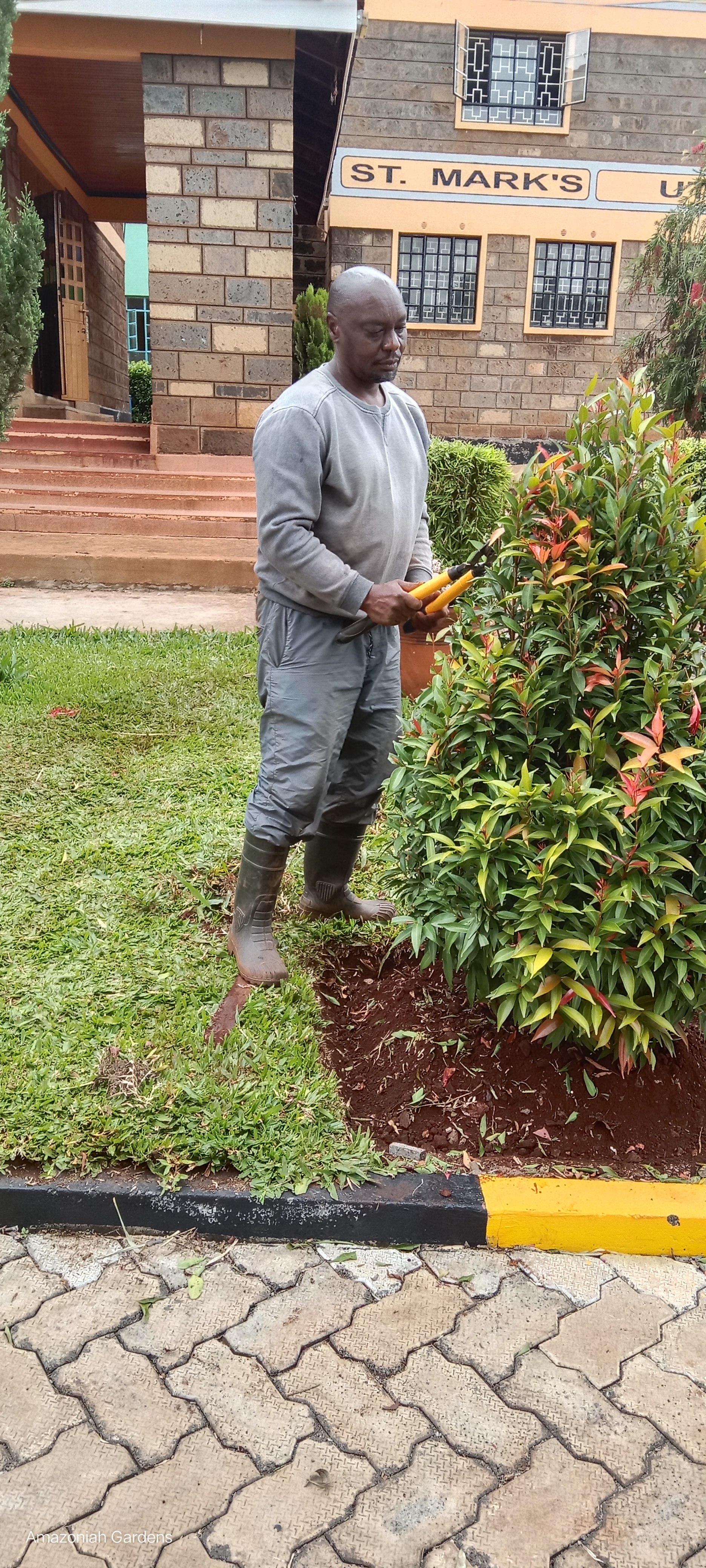 Amazoniah Gardeners work example